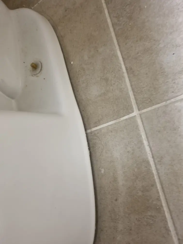 변기 백시멘트 5